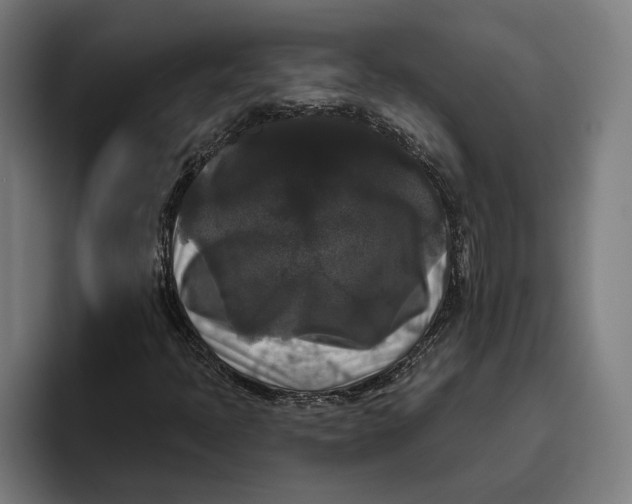 X0000094811397200712071216