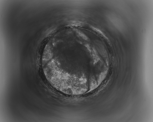 X0000094811399200712071216