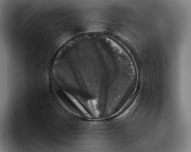 X0000094811401200712071216