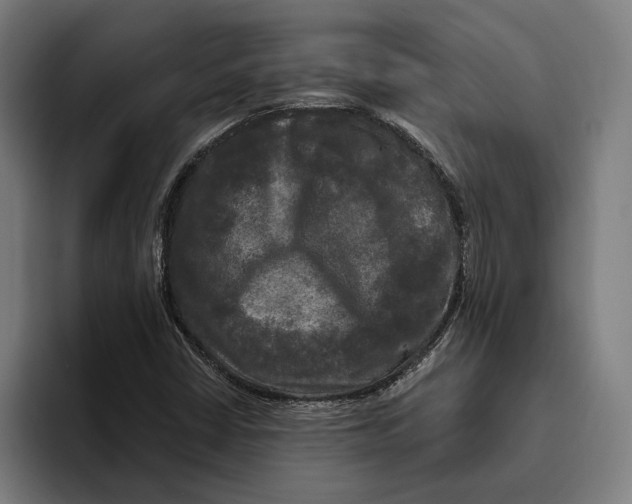 X0000094811402200712071216