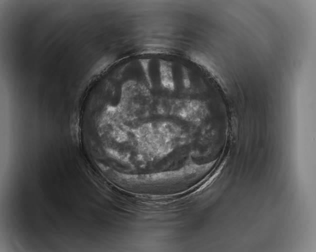 X0000094811403200712071216