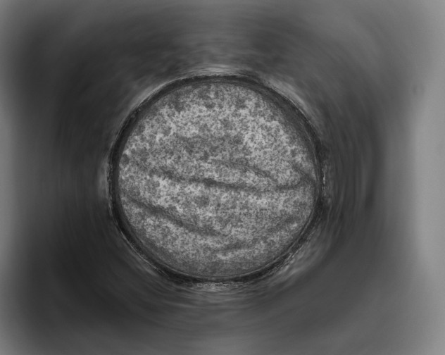 X0000094811404200712071216