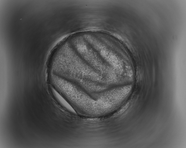 X0000094811406200712071216