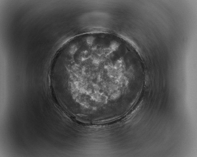 X0000094811407200712071216