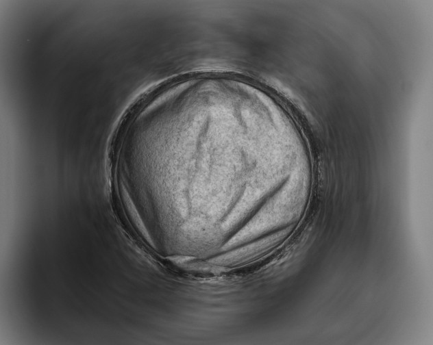 X0000094811408200712071216