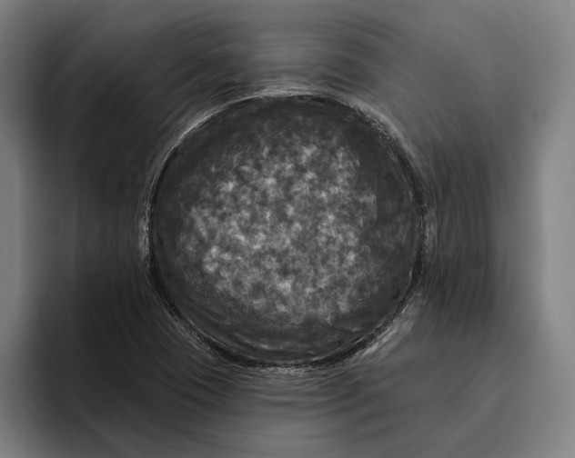 X0000094811409200712071216