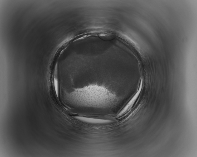 X0000094811411200712071216