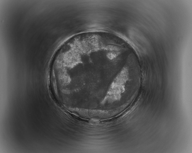 X0000094811415200712071216