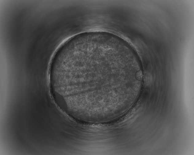 X0000094811416200712071216