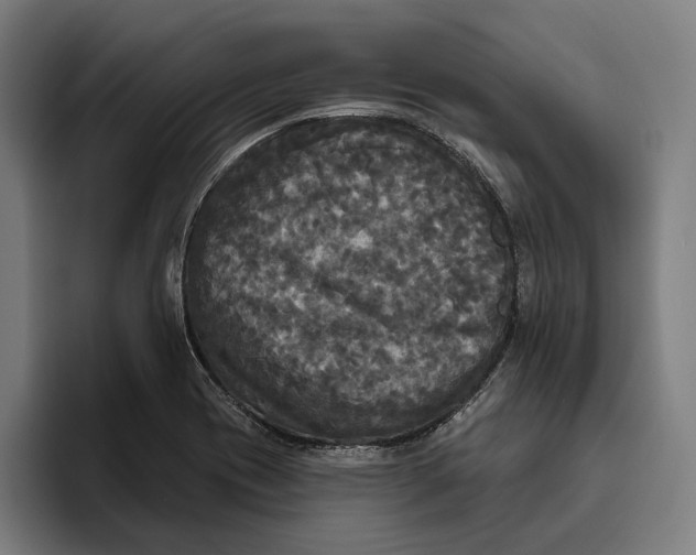 X0000094811417200712071216