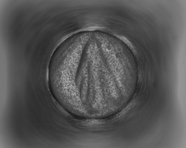 X0000094811420200712071216