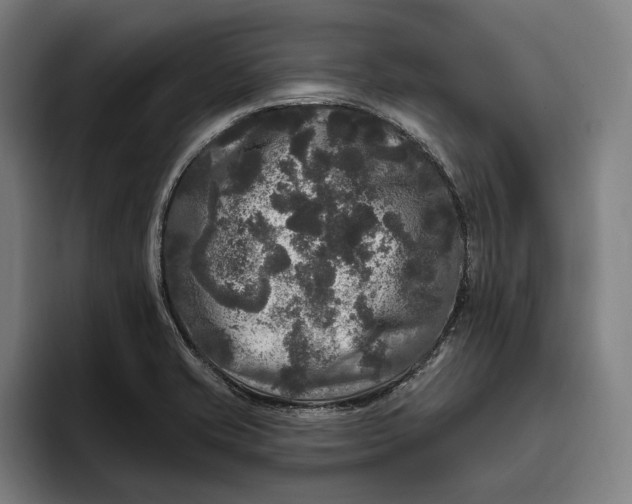 X0000094811421200712071216