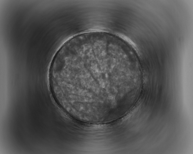 X0000094811423200712071216