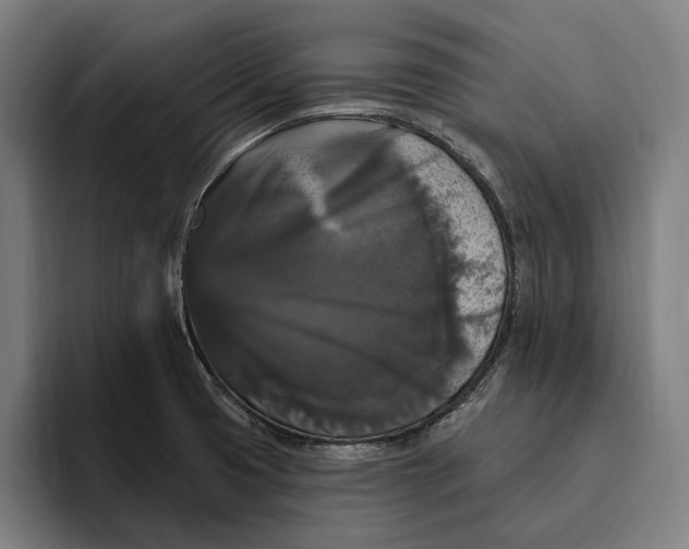 X0000094811425200712071216