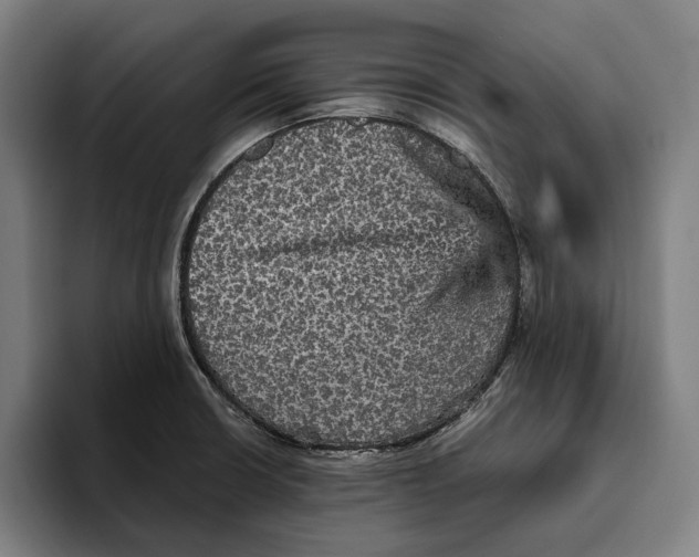 X0000094811426200712071216