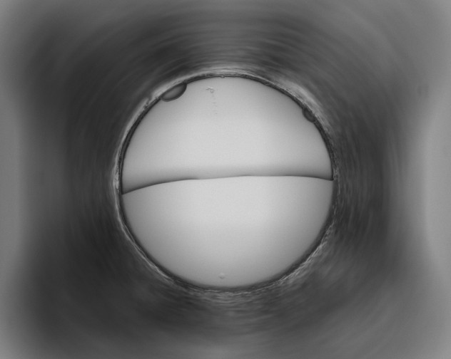 X0000094811428200712071216