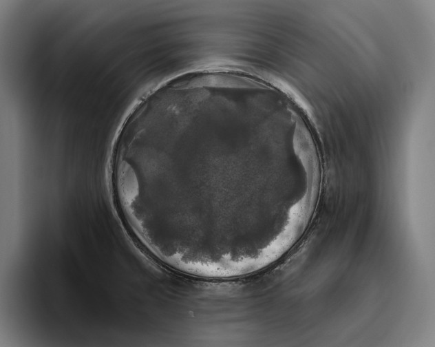 X0000094811429200712071216