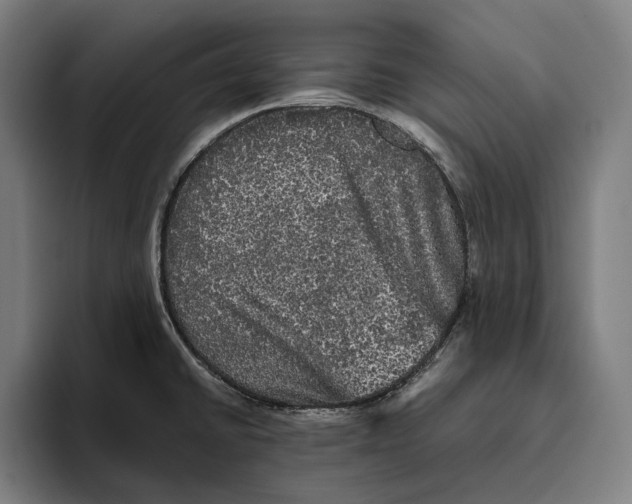 X0000094811430200712071216