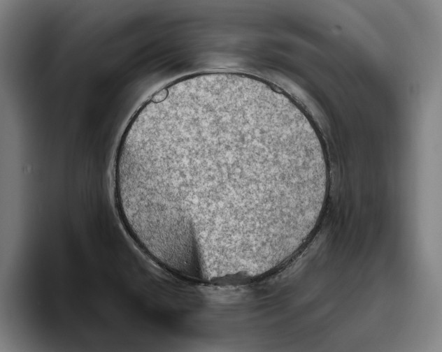 X0000094811432200712071216