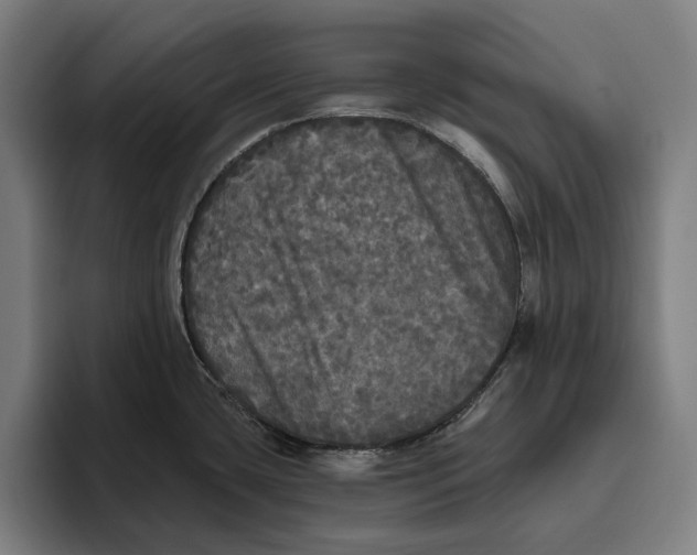 X0000094811435200712071216