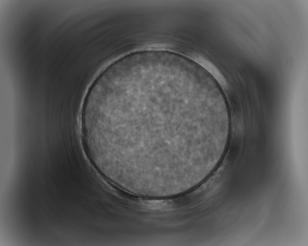 X0000094811436200712071216