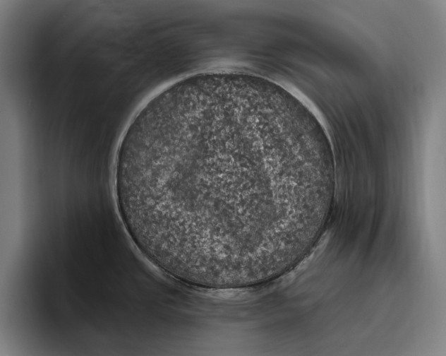 X0000094811437200712071216