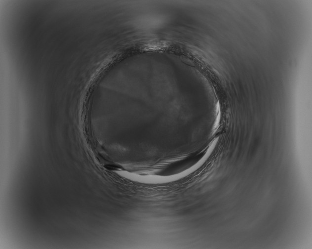 X0000094811441200712071216