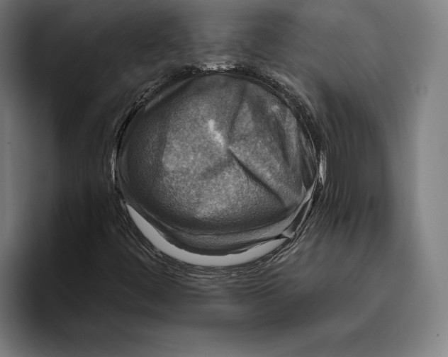 X0000094811444200712071216