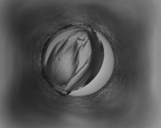 X0000094811445200712071216