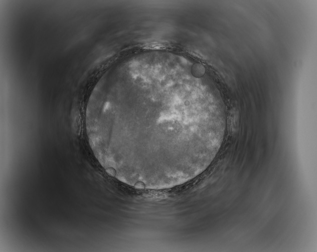 X0000094811446200712071216