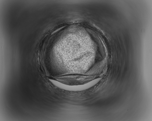 X0000094811447200712071216