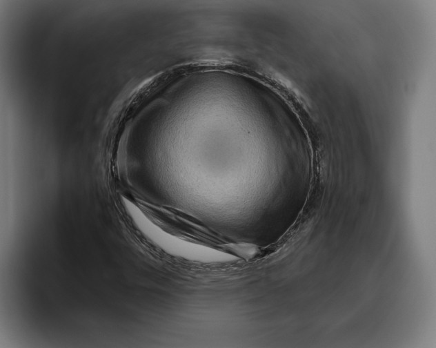 X0000094811448200712071216