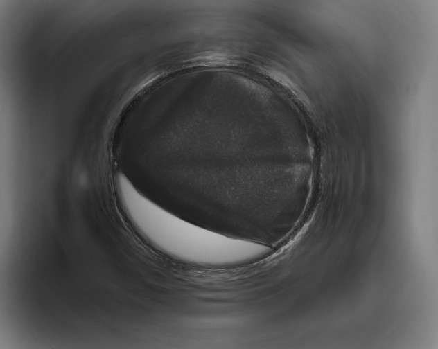 X0000094811450200712071216