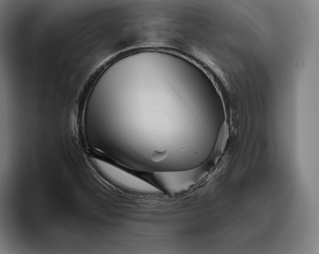 X0000094811452200712071216