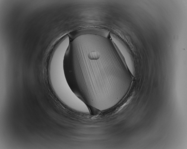 X0000094811453200712071216