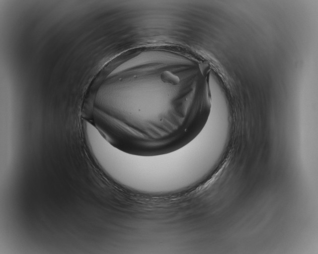 X0000094811457200712071216