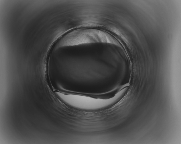 X0000094811459200712071216