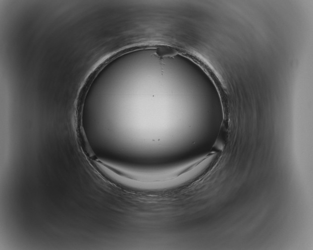 X0000094811460200712071216