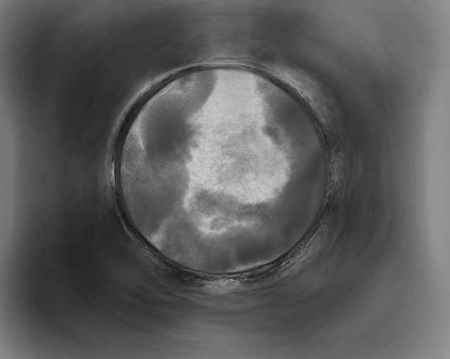 X0000094811462200712071216