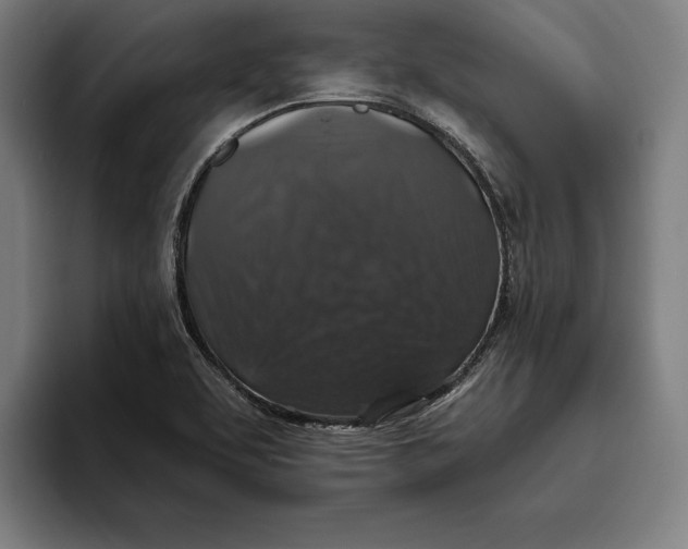 X0000094811463200712071216