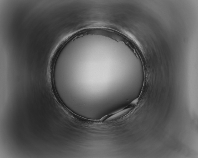 X0000094811464200712071216