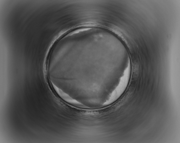 X0000094811466200712071216