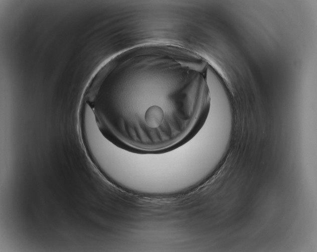 X0000094811468200712071215