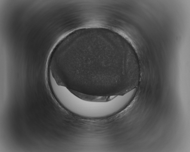 X0000094811469200712071215