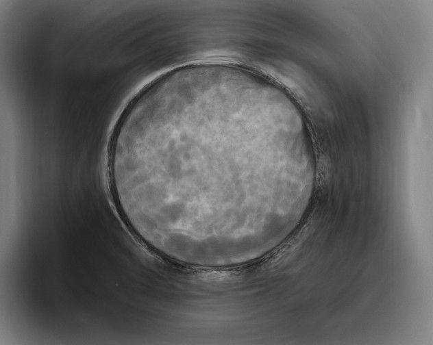 X0000094811470200712071215