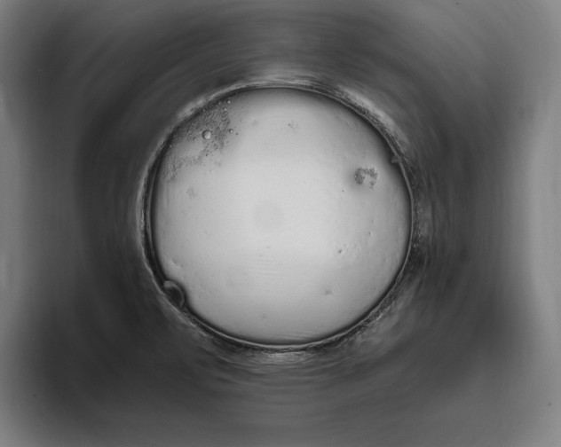 X0000094811471200712071215