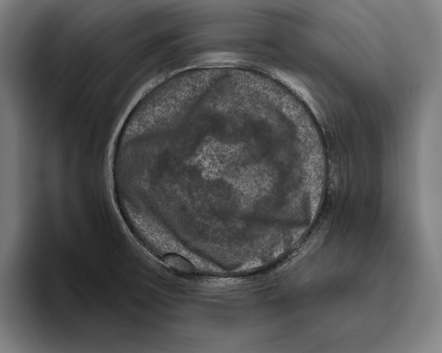 X0000094811475200712071215