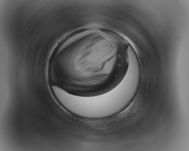 X0000094811477200712071215