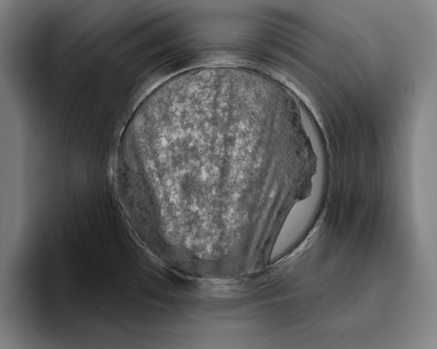 X0000094811481200712071215