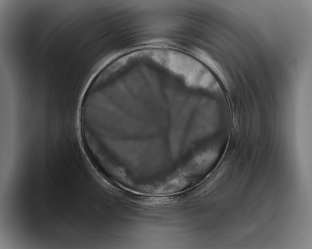 X0000094811482200712071215